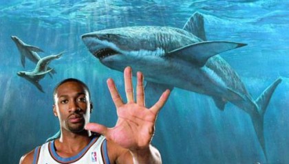 NBA球星都养什么宠物？养猫养狗就算了，居然还有人养老虎|尤西比奥|奥尼尔|德怀特·霍华德|戈塔特|洛杉矶湖人队_新浪体育_新浪新闻